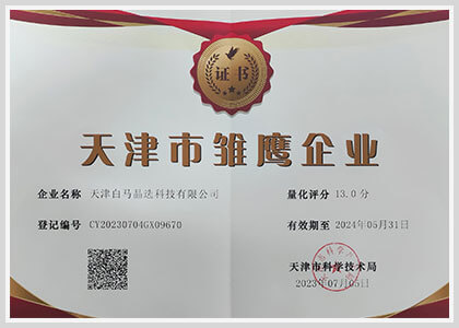 2024年-天津市雏鹰企业